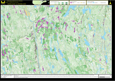 FN39OG Lac Fernand ((Hunt-A-Moose)) Preview 1