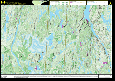 FN39XG Lac Bellemare ((Hunt-A-Moose)) Preview 1