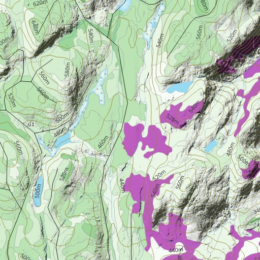 FN39XW Lac David ((Hunt-A-Moose)) Map by Hunt-A-Moose | Avenza Maps