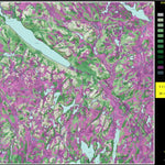 Hunt-A-Moose FN47AH Lac D'Aleyrac ( Hunt-A-Moose ) digital map