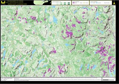 FN47FW Riviere aux Canots Est ((Hunt-A-Moose)) Preview 1