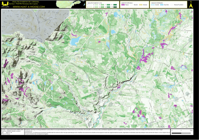 FN47RO Ruisseau des Cygnes ((Hunt-A-Moose)) Preview 1