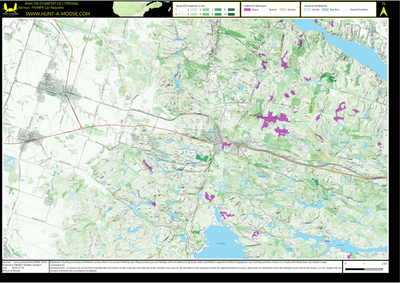 FN48FK Lac Raquette ((Hunt-A-Moose)) Preview 1