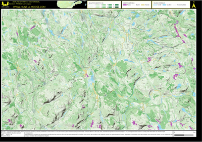 FN48LC Lac Coupau ((Hunt-A-Moose)) Preview 1