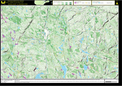 FN48OC Lac de la Belle Truite ((Hunt-A-Moose)) Preview 1