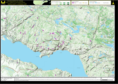FN48OK Lac chez Georges-Edouard ((Hunt-A-Moose)) Preview 1