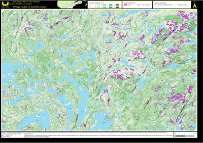 FN48RS Lac Leopold ((Hunt-A-Moose)) Preview 1