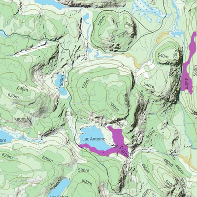 FN48XW Lac Didier ((Hunt-A-Moose)) Preview 3