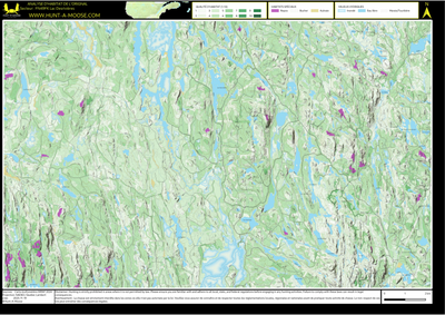 FN49FK Lac Desrivieres ((Hunt-A-Moose)) Preview 1
