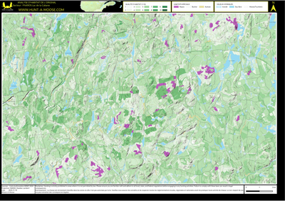 FN49OS Lac de la Cabane ((Hunt-A-Moose)) Preview 1