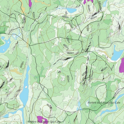 FN49OS Lac de la Cabane ((Hunt-A-Moose)) Preview 3