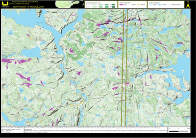 FN49XK Lac Eliane ((Hunt-A-Moose)) Preview 1