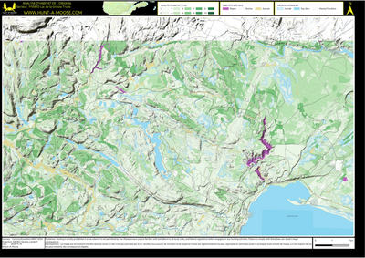 FN58IO Lac de la Grosse Truite ((Hunt-A-Moose)) Preview 1