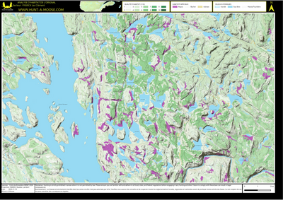 FN59CK Lac Clement ((Hunt-A-Moose)) Preview 1
