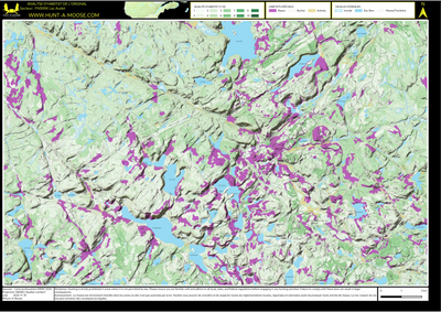FN59XK Lac Audet ((Hunt-A-Moose)) Preview 1