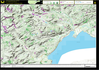 FN68RC Lac des Bleuets ((Hunt-A-Moose)) Preview 1