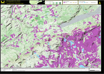 FN68RW Mont Jacques-Ferron ((Hunt-A-Moose)) Preview 1