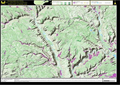 FN78CK Petite riviere Cascapedia Ouest ((Hunt-A-Moose)) Preview 1