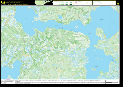 FO10FG Lac Soscumica ((Hunt-A-Moose)) Preview 1