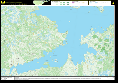 FO10LS Ile Kaministikuskako ((Hunt-A-Moose)) Preview 1