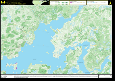 FO10OG Detroit de Sable ((Hunt-A-Moose)) Preview 1