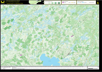 FO10UC Riviere Chensagi Est ((Hunt-A-Moose)) Preview 1
