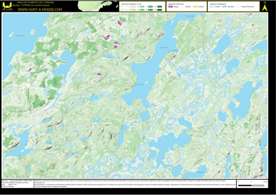 FO10XK Lac Caminscanane ((Hunt-A-Moose)) Preview 1