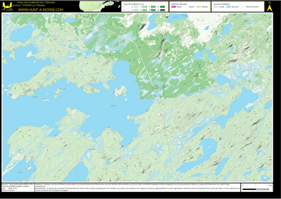 FO10XW Lac Theodat ((Hunt-A-Moose)) Preview 1