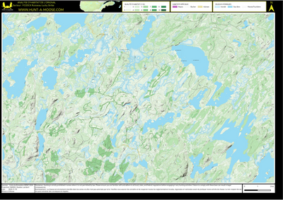 FO20CK Ruisseau Lucky Strike ((Hunt-A-Moose)) Preview 1