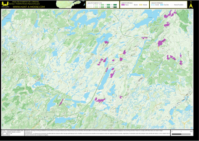 FO20XG Riviere Pipounichouane ((Hunt-A-Moose)) Preview 1