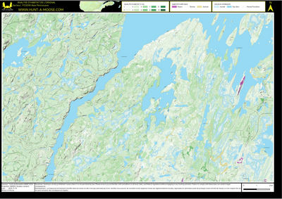 FO20XK Baie Penicouane ((Hunt-A-Moose)) Preview 1