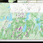 FO40UK Lac du Bouchon ((Hunt-A-Moose)) Preview 1