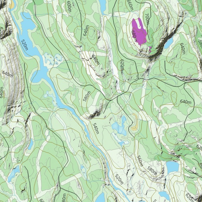 FO50CG Riviere Praslin ((Hunt-A-Moose)) Preview 3