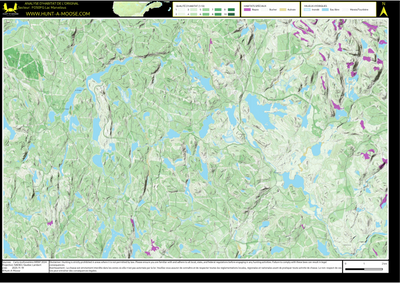 FO50FG Lac Marvelous ((Hunt-A-Moose)) Preview 1