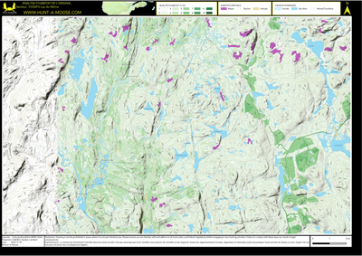 FO50FO Lac du Memo ((Hunt-A-Moose)) Preview 1