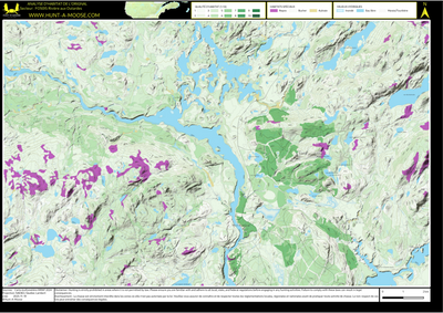 FO50IS Riviere aux Outardes ((Hunt-A-Moose)) Preview 1