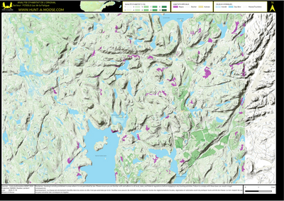 FO50LG Lac de la Fatigue ((Hunt-A-Moose)) Preview 1