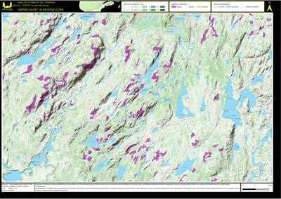 FO50LS Lac des Bouleaux ((Hunt-A-Moose)) Preview 1