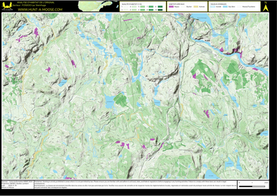 FO50OO Lac Steinhage ((Hunt-A-Moose)) Preview 1