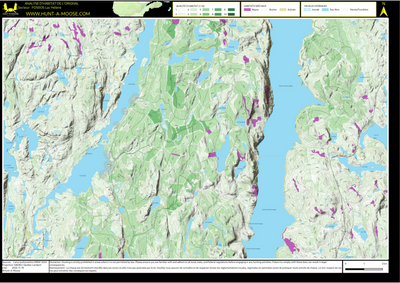 FO50OS Lac Helene ((Hunt-A-Moose)) Preview 1