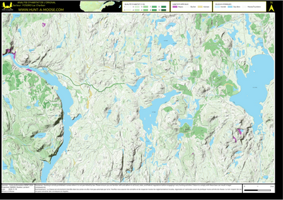 FO50RO Lac Charbon ((Hunt-A-Moose)) Preview 1