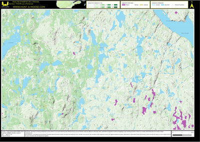 FO51IN Lac a Tentacule ((Hunt-A-Moose)) Preview 1