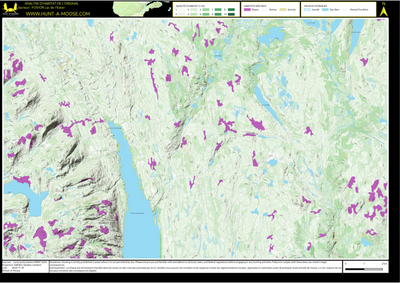 FO51OR Lac de l'Esker ((Hunt-A-Moose)) Preview 1