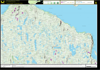 FO51RN Lac Rouleau ((Hunt-A-Moose)) Preview 1