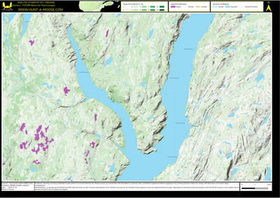 FO51RR Reservoir Manicouagan ((Hunt-A-Moose)) Preview 1