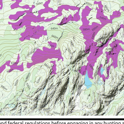 FO51UC Lac des Neiges ((Hunt-A-Moose)) Preview 3