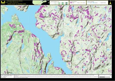 FO60CC Baie Boisvert ((Hunt-A-Moose)) Preview 1