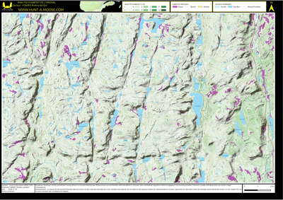 FO60FK Riviere de l'Est ((Hunt-A-Moose)) Preview 1