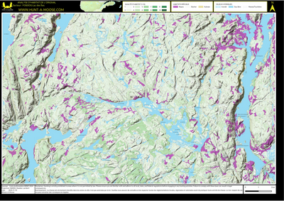 FO60OG Lac des Iles ((Hunt-A-Moose)) Preview 1