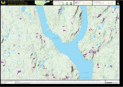 FO61LK Riviere de la Montagne Blanche ((Hunt-A-Moose)) Preview 1